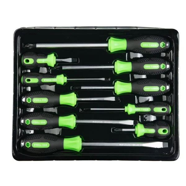 10PC SCREWDRIVER SET POZI + SLOTTED DS1047