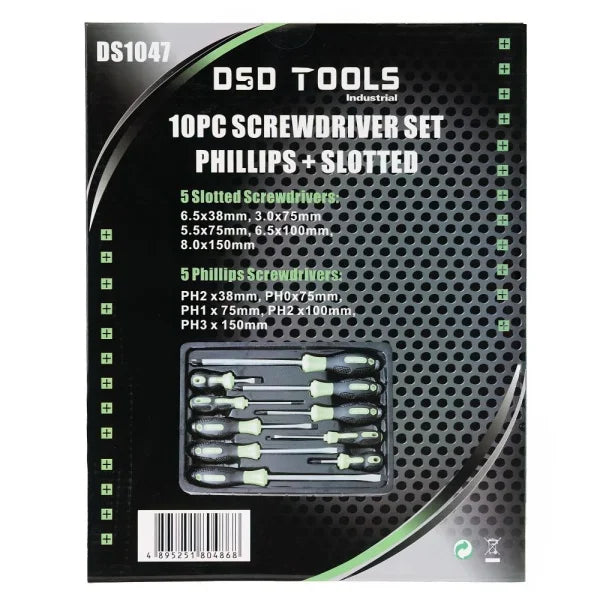 10PC SCREWDRIVER SET POZI + SLOTTED DS1047